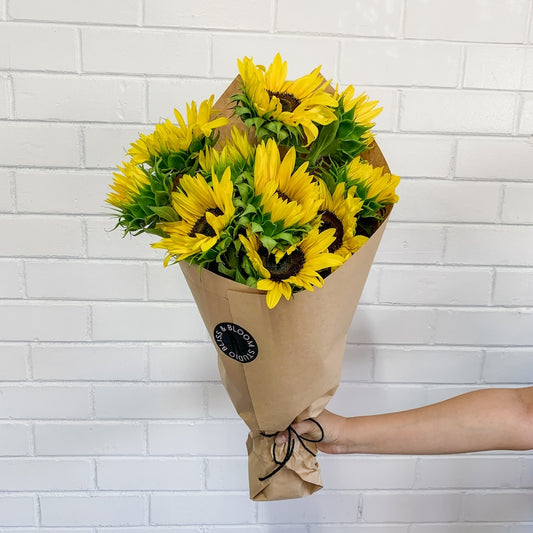 Sunflowers | Double Bunch | Perth Sunflower Delivery