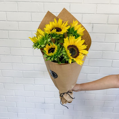 Sunflowers | Single Bunch | Perth Flower Delivery
