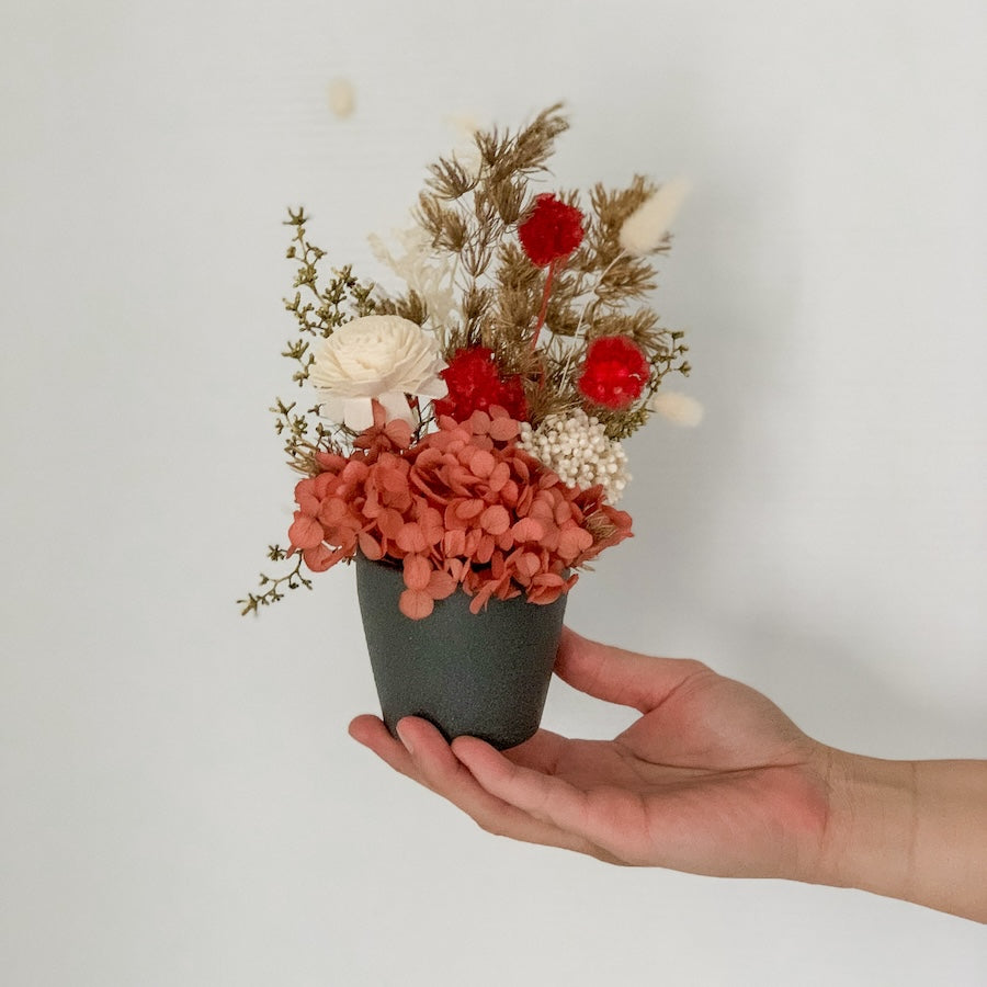 Mini Dried Pot | Burnt Orange, Gold & White in Black Pot | Perth Flower Delivery