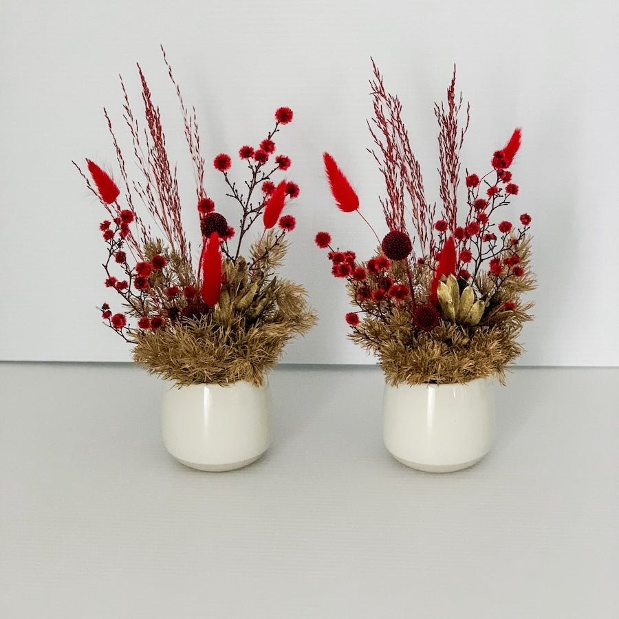 Set of 2 Mini Dried Pots | Red & Gold in White Pot | Perth Flower Delivery