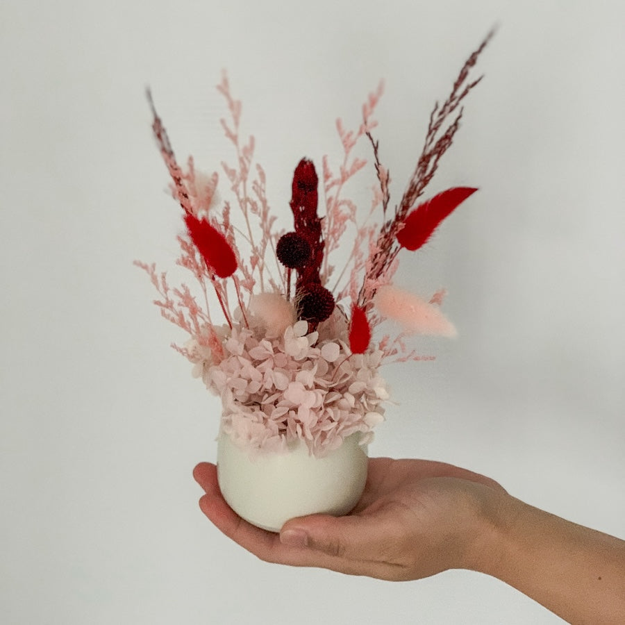 Mini Dried Pot | Pink & Burgundy in White Pot | Perth Flower Delivery