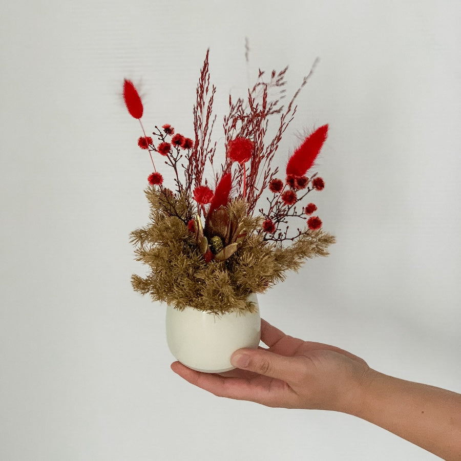 Mini Dried Pot | Red & Gold in White Pot | Perth Flower Delivery