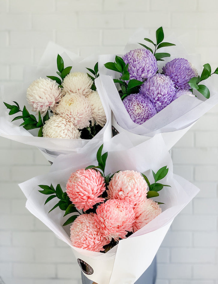 Pom Poms Bunch | Market Bunch | Bliss and Bloom Studio